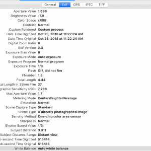 Screen Shot 107.png