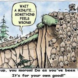 Lemmings at the cliff.jpg