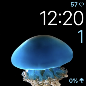6518693F-28B4-4248-92CB-B4F9FEE464D3.png