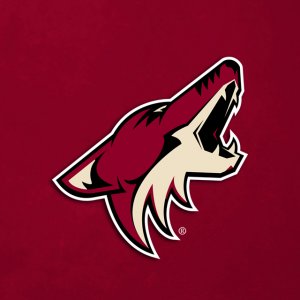 Coyotes 01.jpg