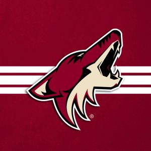 Coyotes 02.jpg