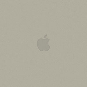 iphone5lockscreenbesand.png