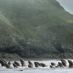pic2.jpg