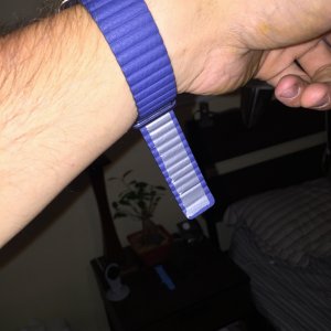 image.jpg