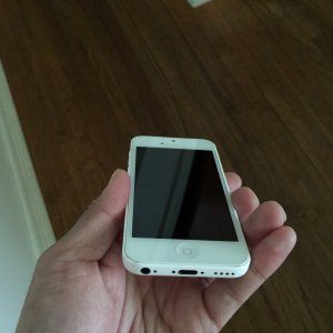 image.jpg