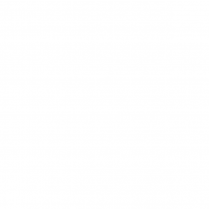 IMG_1246.PNG