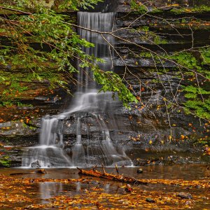 FallWaterfallBareBranchesLeaves.jpg