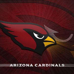 Arizona Cardinals 2880.jpg