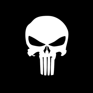 Punisher 02.png