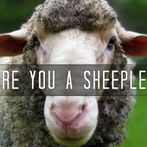 are-you-a-sheeple.jpg