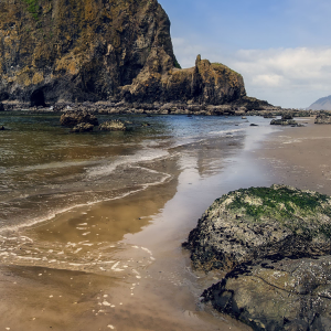 Beach Rock.png