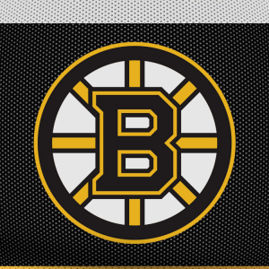 Boston Bruins 02.png
