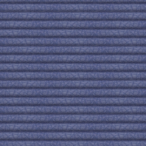 Blue Loop.png