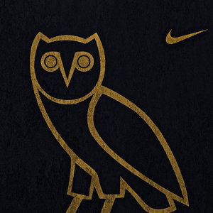 Ovo Owl Nike.png