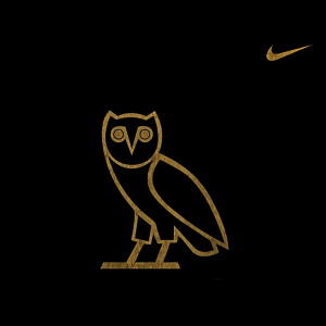 Ovo Owl Nike 1080 02.png