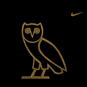 Ovo Owl Nike 1080.png
