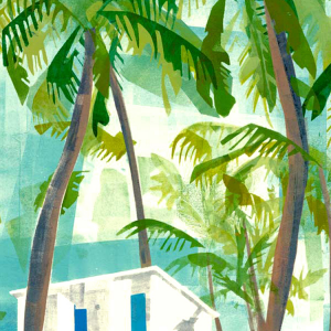 Palms.png