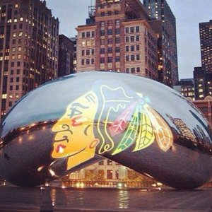 bean Hawk.jpg