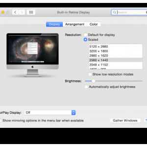 Screen Shot 2.png