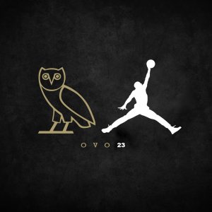 ovo23-copy3.jpg