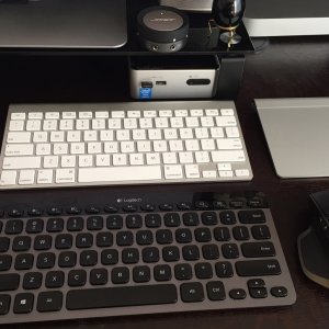 mouse.jpg