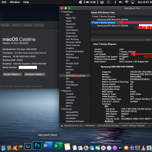 Screen Shot 2020-11-08 at 6.47.31 AM.png