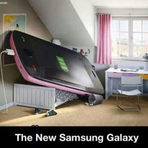 image.jpeg