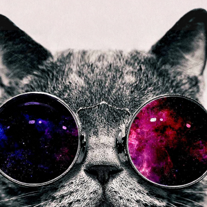 Cool Cat 02.png