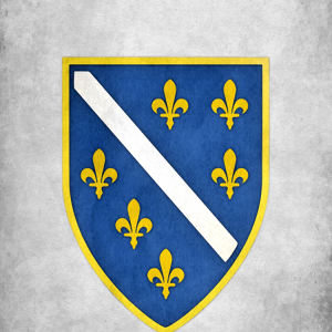 Bosnia Herzegovina.png