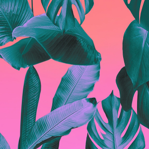 RH Floral.png