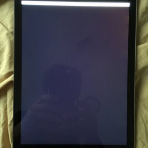 image.jpeg