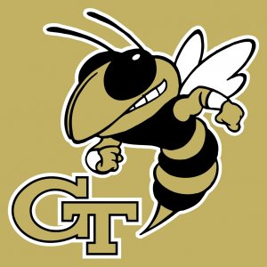 Georgia_Tech_Yellow_Jackets2.jpg