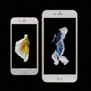 iphone-new1-780x504.jpg