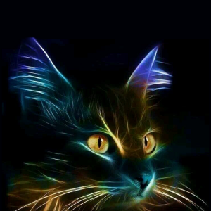 Cat 01.png