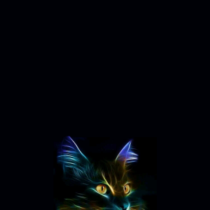 Cat 02.png