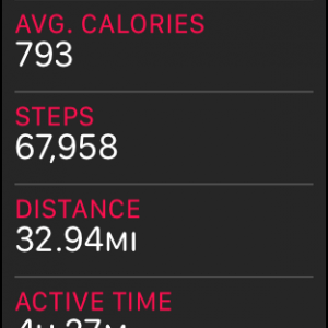 steps.PNG