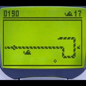 Snake.jpg