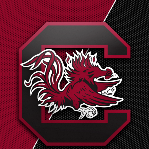 South Carolina Gamecocks 01.png