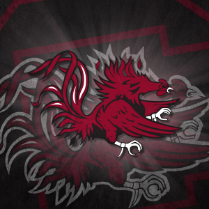 South Carolina Gamecocks 02.png