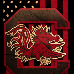 South Carolina Gamecocks 03.png