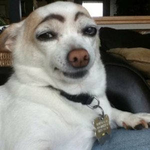 image.jpeg