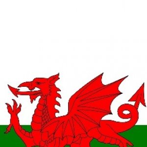 Welsh-Flag2.jpg