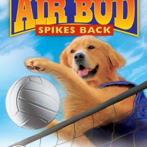 image.jpeg