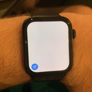 IMG_0664.jpeg