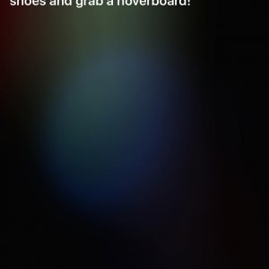 12028782_10101803307728952_6773813008520962154_o.jpg