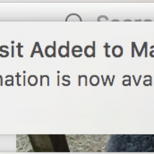 Screen Shot 2015-10-22 at 8.48.26 AM.png