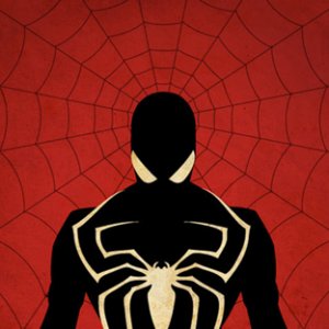 redwebblackspider.jpg
