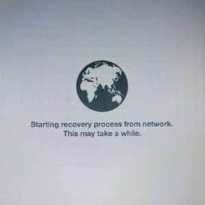 311095-lion-internet-recovery.jpg
