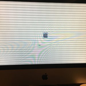 image.jpeg