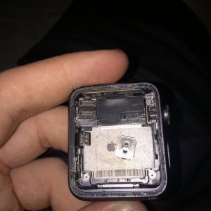image.jpeg